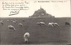 Le Mont Saint Michel - Moutons au Paturage Botrel moutons - CPA 