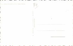 CPSM Sallanches and Mont Blanc