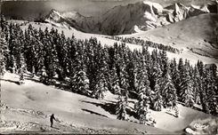 CPSM Megeve Fir trees under snow with the Mount Alpine laburnum