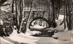 CPSM Megeve Landscape winter 1113m