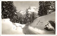 CPSM Megeve Road of the Mount Alpine laburnum and switches of Varan