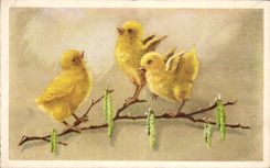 CPA Fantaisie Poussins 