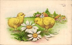 CPA Fantaisie Poussins Paques Easter