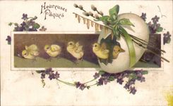 CPA Fantasy Chicks egg Easter Easter