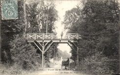 Saint Germain en Laye - La Foret - CPA 