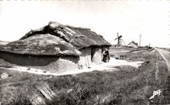 With the Country of Mounts - a Bourine Old woman - CPSM