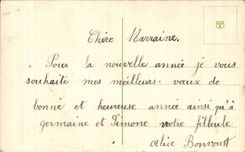 Festivals - Wishes - Happy New Year - New Year - bird - birds CPA