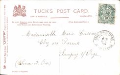 Festivals - Wishes - Good Anne - New Year - birds - CPA