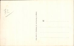 Leonard des Bois - Un Coin des Touristes - CPA