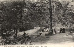 Bagnoles de l Orne - L Allee du Dante - CPA