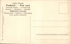 Fleurs pears - poire - birne - CPA 