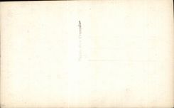 Fleurs pretty bouquet - CPA 