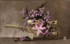 Fleurs wheelbarrow - brouette - CPA 