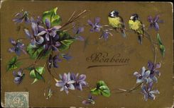 PAjaro de las flores - pAjaros - CPA