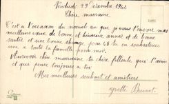 Fleurs Bonne Annee - CPA 