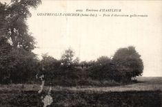 Harflor - Gonfreville Orcher - Station obversation - gallo Roman - CPA