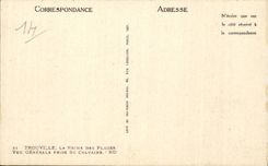 Trouville - the Queen of the Beaches - View taken Martyrdom - CPA