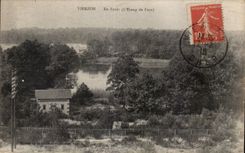 CPA Vierzon Out of forest (pond of Fays)