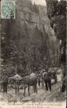 The Dauphine one - Road of Villard de Lans has Pont in Royans Attelage Oxen - CPA