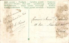 Fleurs violette - violet - Amitie Sincere - CPA 