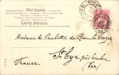 Fleurs Violette - Violet - Souhaits Sinceres Cochon Pig - CPA 