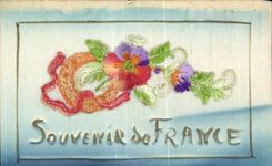 CPA Fantaisie Carte avec dentelle Souvenir de France Fleurs