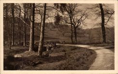 CPA Limousin Nos campagnes Paysage