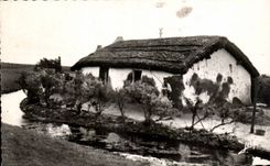 CPSM With the country of Mounts Old woman bourine of the marsh