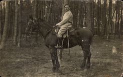 CARTE PHOTO Militaria Soldat Cavalier Cheval Horse