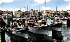 CPSM Saint Jean de Luz the port and house of infante