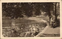 CPA Paris With the wood of Boulogne Swans on the lower lake