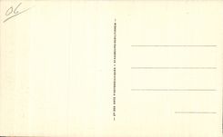 Pinos de CPA Juan el linede y la playa