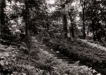 CPSM Bourbonne les Bains Parc du casino