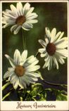 - Fleurs - Heureux Anniversaire - Happy Birthday - Daisy - CPA 