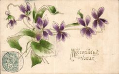- Fleurs - Mes Meilleurs Voeux - CPA 