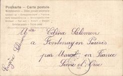 - Fleurs - Mes Meilleurs Voeux - CPA 