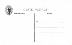 Fleurs Tulipe - Tulip - CPA 