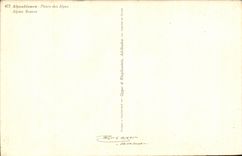 Flores - flores de Alpenblumen de las montanas - CPA