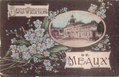 Meaux - Souvenir fleurs- CPA 