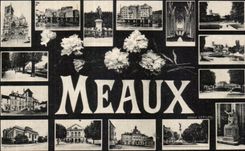 Meaux - Souvenir - CPA 