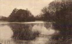 CPA Montfort l Amaury L etang de la plaine 