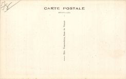 CPA Le Vesinet Les ibis