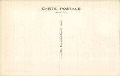 CPA Le Vesinet Les Ibis