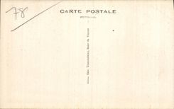 CPA Le Vesinet Les Ibis