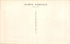 CPA Le Vesinet Les Ibis 