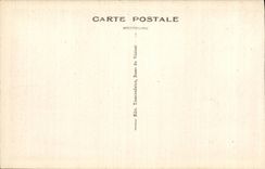 CPA Le Vesinet Les Ibis