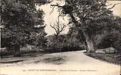 CPA Fontainebleau Dormoir de Lantara Gorges d Apremont
