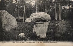 CPA Foret de Fontainebleau le faux champignon d Apremont