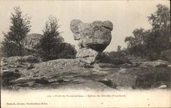 CPA Foret de Fontainebleau Square des Druides (Franchard)