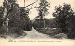 CPA Foret de Fontainebleau Route Marie Therese (gorges d Apremont)